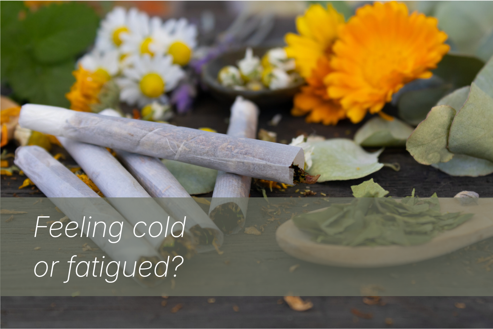 cedar&sage services heat therapy