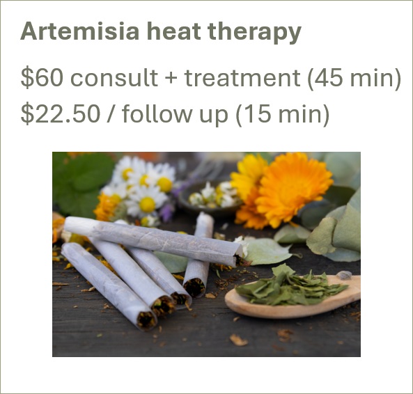 artemisia heat therapy pricing